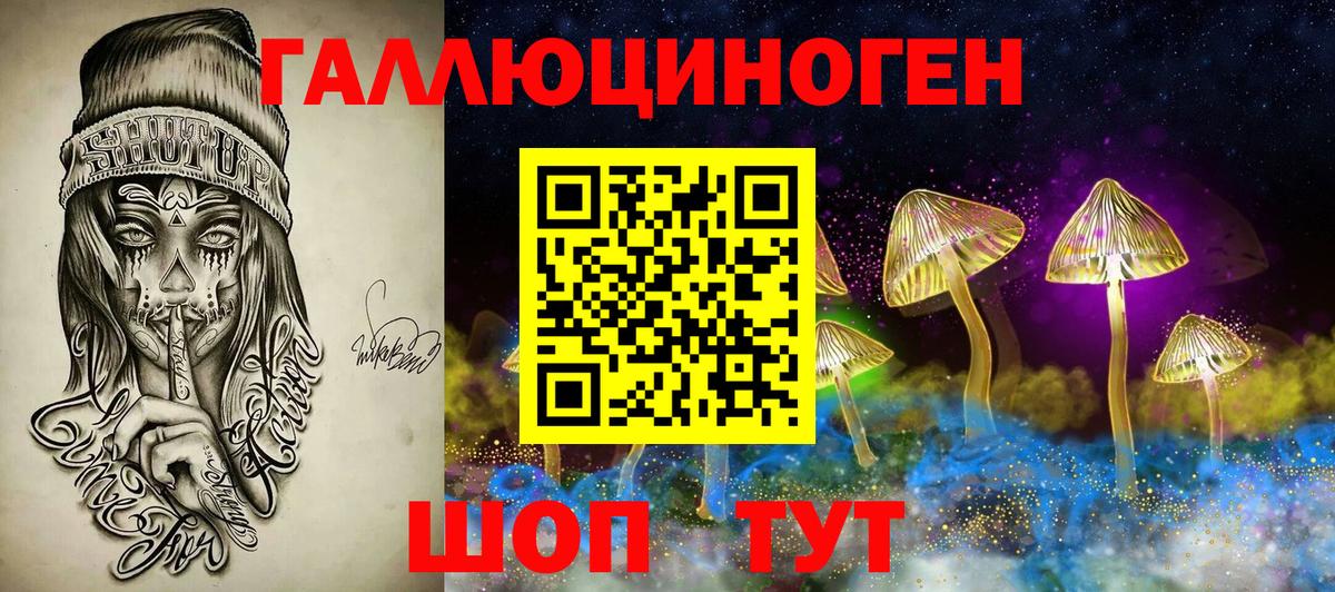 Галлюциногенные грибы Magic Shrooms  Вход с VPN  Галлюциногенные грибы Magic Shrooms  Заводоуковск 